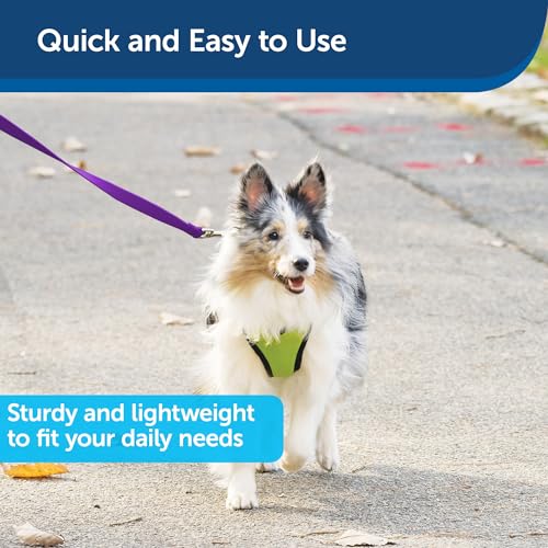 Image of PetSafe Nylon Dog Leash - Strong, Durable, Traditional Style Leash with Easy to Use Bolt Snap - 1 in. x 6 ft., Deep Purple | Durable Nylon Leash with Easy on /off Bolt Snap Hook, Pairs Perfectly with Easy Walk Harness and Gentle Leader Headcollar