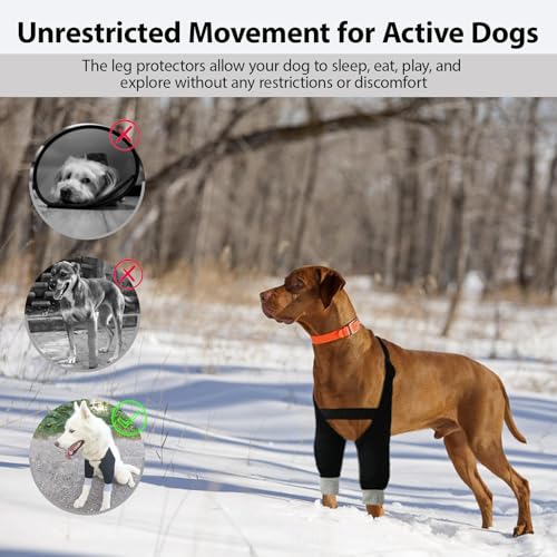 Image of Dog Elbow Protector Dog Front Leg Recovery Sleeves, Adjustable Dog Recovery Suit Dog Elbow Pads for Calluses Hygroma, Dog Leg Wounds Bandages Wrap Leg Warmer, Adjustable Dog Leg Sleeve to Stop Licking