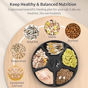 ORSDA Automatic Cat Feeder Wet Food/Dry Food, 5 Meal Timed Pet Feeder with Timer Programmable & Voice Recorder, Dual Power Supply Auto Feeder for Cats/Small Dogs