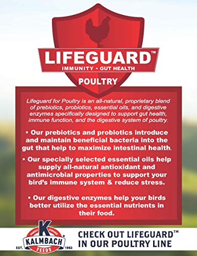 Kalmbach Feeds 18% Start Right Chick Feed Crumbles, 25 lb