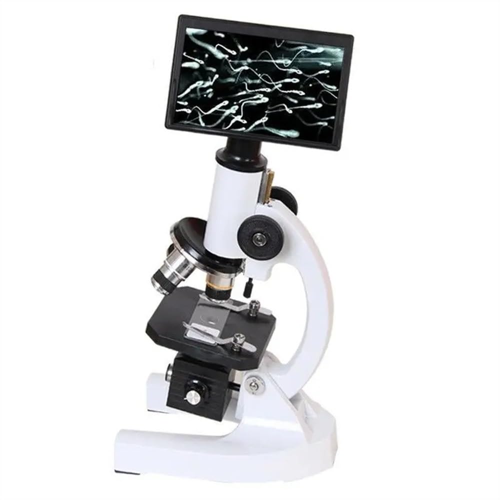 Kit microscopio 640X 800X monoculare Home School Digital Biologico Microscopio Ricerca Microscopio Microscopio Adattatori Lente Microscopio Microscopio, Con Lampada-Wf20X, Con Schermo E