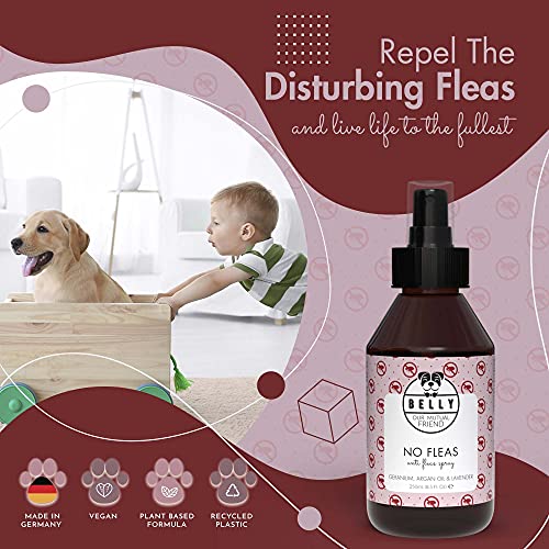 Belly Flohmittel für Hunde - 250ml - Floh- und Zeckenschutz ohne Flecken oder Rückstände, Flohspray wehrt Flöhe, Zecken und Mücken ab, vegan