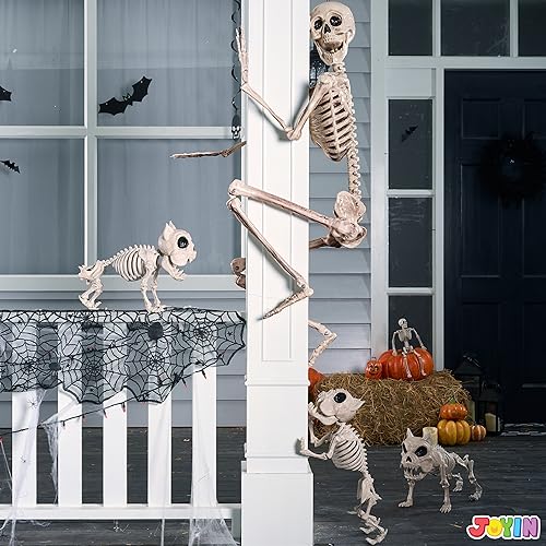 JOYIN 5.6 FT Halloween Posable Life Size Skeleton, Full Body Realistic Bones with Movable Joints, Giant Skeletons Halloween Decorations for Indoor Outdoor Haunted House Props, Spooky Scene Party Decor3