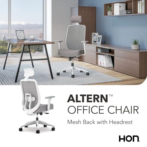 Image of HON Altern Ergonomic Office Chair, Office Desk Computer Chair, Frost