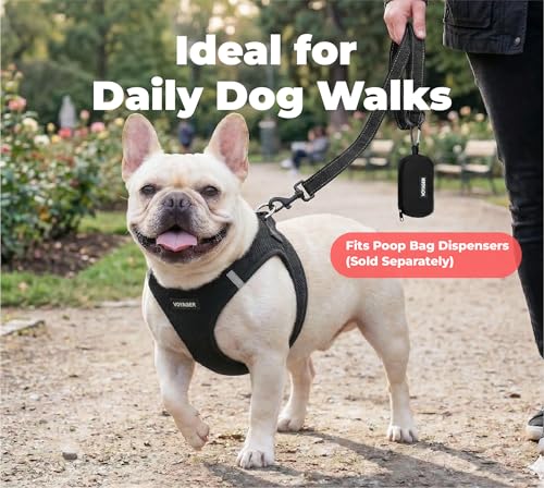 Image of Best Pet Supplies Voyager Reflective Dog Leash or Collar with Neoprene Handle, for Small, Medium, and Large Breed Puppies, Cute and Heavy Duty for Walking, Running and Training - Black (Leash), L