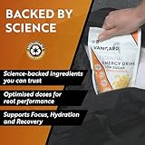 Vangard Essential Energy Drink - Citrus Flavour (270g - 30 Servings), Everyday Energy & Hydration Powder With Low Sugar and Vitamin B12 - Image 7