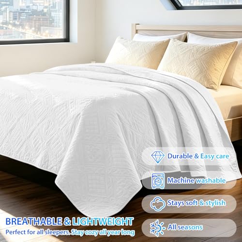 Colcha para cama suave y ligera de microfibra transpirable 260x260 7