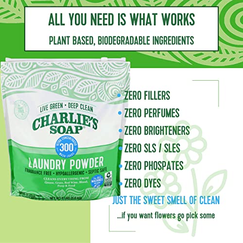 The 29 Best Biodegradable Laundry Detergent of 2024 [Verified] Cherry
