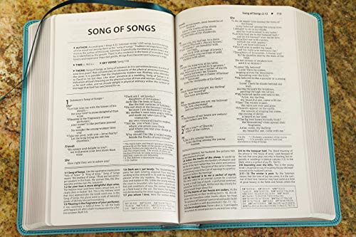 Zondervan 255359 Niv, Foundation Study Bible thumb #6