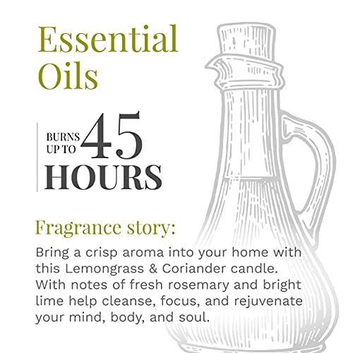 Essential Elements By Candle-Lite Scented Candles, Lemongrass & Coriander Fragrance, One 14.75 Oz. Three-Wick Aromatherapy Candle With 45 Hours Of Burn Time, Off-White Color #TOP2