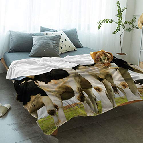 Greeeen Plush Fleece Throw Blanket | Fuzzy, Soft, Warm, Cozy, Reversible Blanket For Bed Couch Sofa Chair Travel- 39" X 49" Pasture Cow Rural Landscape #TOP3