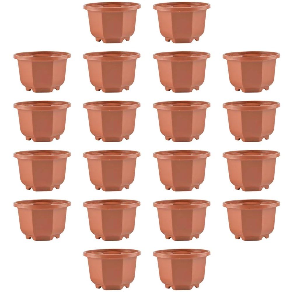 Pots à orchidées avec trous de drainage pour la croissance des racines