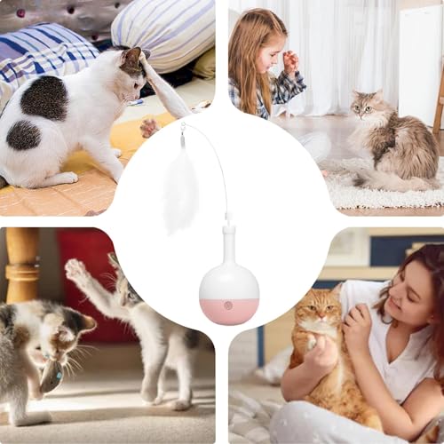 Jouet automatique interactif chaton pour stimulation mentale - 5
