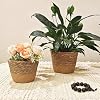 3PCS Plant Basket Indoor with Plastic Liner Water Hyacinth Woven Planters Flower Baskets Holder Liners Home Decor