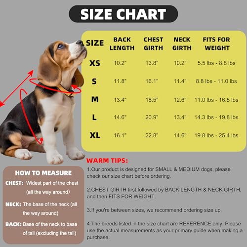 Image of Dog Surgery Recovery Suit Spay Recovery Onesie for Female Male Dogs