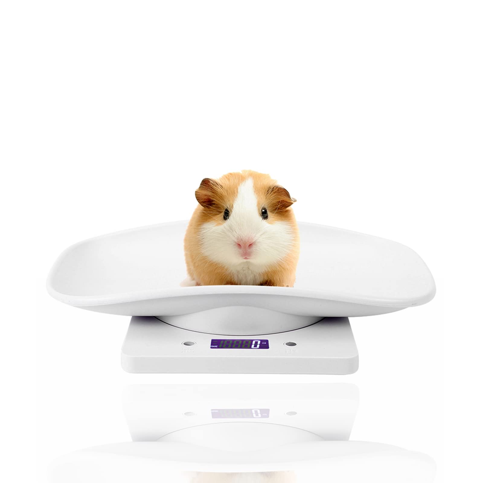 Weegschaal voor dieren – compact digitaal meetgereedschap