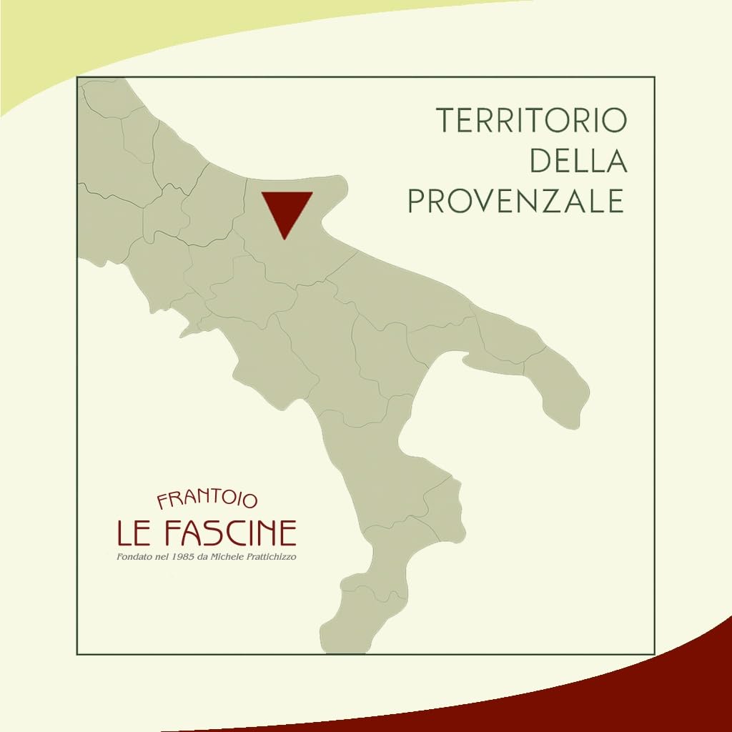 Le Fascine "Classico" - 100% italienisches Olivenöl, extra natives Olivenöl, kaltgewonnen, ungefiltert, 100% hergestellt von Monocultivar Provençal (2 x 3 Liter)