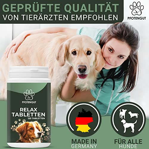 PFOTENGUT® Relax Tabletten 120 Stück [Made in Germany] - Hunde Beruhigungsmittel mit Taigawurzel, Baldrian & Hanfpulver - Natürliches Beruhigungsmittel für Hunde - Verbesserte Version 2023