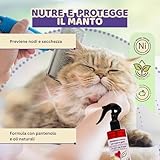 M' MA PETS B07SS4YBP5 lato 3