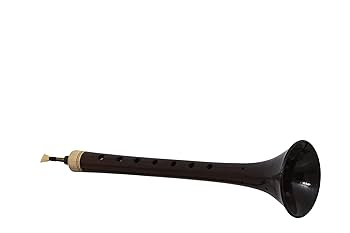51srECwfHtL._UF350,350_QL80_.jpg