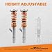 maXpeedingrods Coilovers for VW Golf MK7 2015-2019, for Audi A3/S3 (8V) MK3 2015-2019, for Seat Leon MK3 2012-2019, Height Adjustable Coilovers Suspension Kit, Preset Damping Lowering Kit Gold