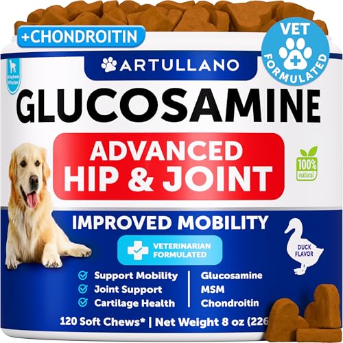 A closer look at Dog Arthritis Joint Supplements
