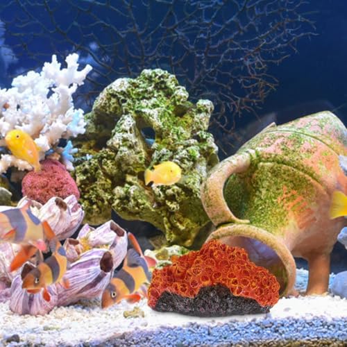 Image of Balacoo Aquarium Coral Reef Ornament 5.11 x 3.93 x 2.75In | Resin landscape, Fresh and saltwater tanks, Aquarium setup