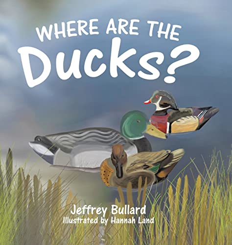 Image of Where Are the Ducks?