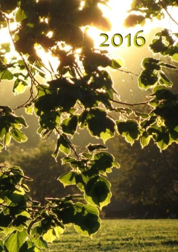 dicker TageBuch Kalender 2016 - Blätter in der Abendsonne: DIN A4 - 1 Tag pro Seite