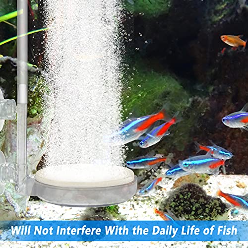 dafuhao Acquario Pietra Porosa con Valvola di Controllo E 2 Ventose Ossigeno Acquario Bubble Stone Diffusore di Ossigeno per Acquario Ossigeno Pietra per Fish Tank per Pesci Acquario Pompa - Image 5