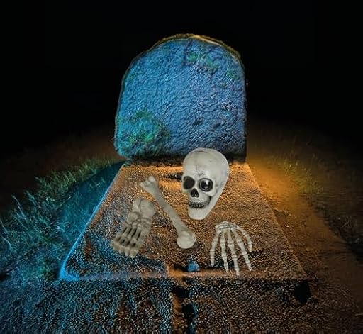 FIESTAS GUIRCA | Set Huesos Esqueleto 4 Piezas - Decoración de Halloween para Fiestas y Celebraciones - Ideal para Ambientes Terroríficos y Escenarios de Miedo - Calaveras y Esqueletos - Blanco | Ya disponible en tu tienda friki favorita! En mundofriki.es!