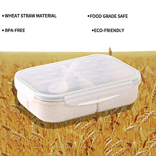Uptrust Bento Lunch Container For Kids, Bento Adult Box With 3 Compartment. Leak-Proof, Microwave Safe, Dishwasher Safe, Healthy Bpa Free, Lightweight Easy To Carry And Store (Spoon Included, Green) #TOP1