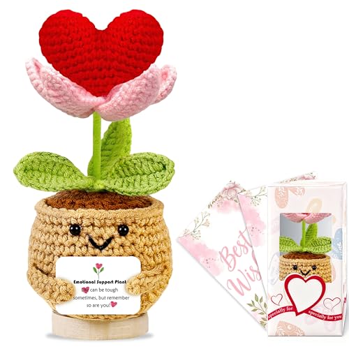 Positive Emotional Support Gift for Women Motivational Plant Crochet With Inspirational Card Christmas Birthday Gifts for Mum Friend Colleagues Funny Office Desk Accessories Decor for Women Cute Stuff