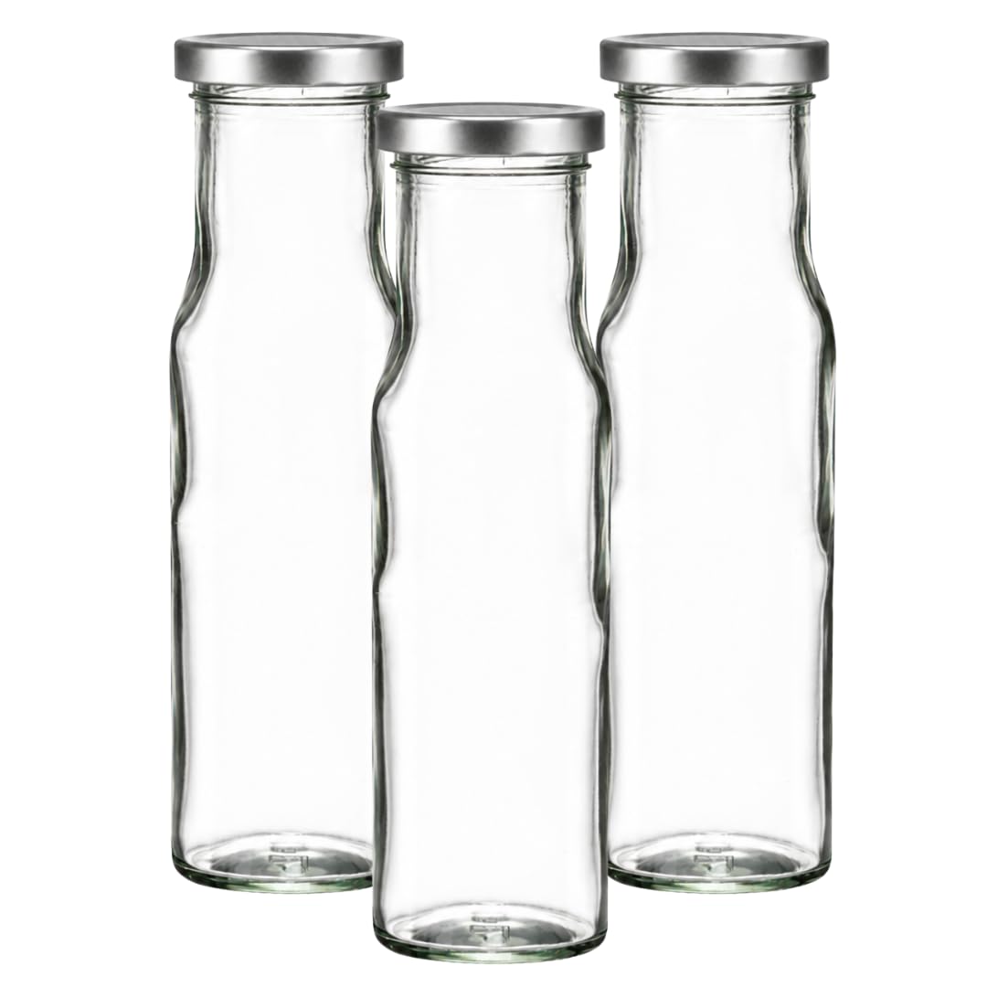 Jars and Bottles 250ml Glass Sauce Bottle with Twist-Off Caps | Preserve Bottle for Sauces, Chutneys, Jams & Homemade Products (48, Silver)