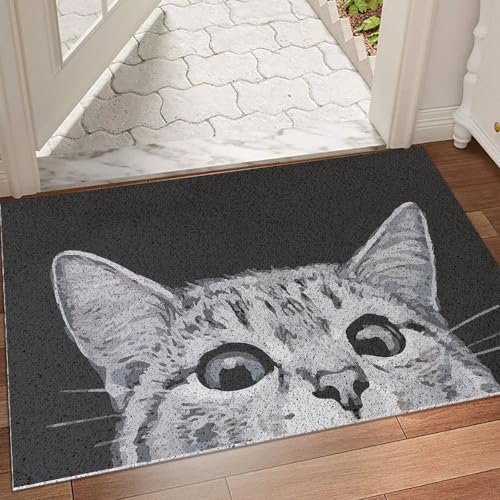 MR FANTASY Cat Door Welcome Mat - Outdoor Entrance Durable Doormat for Indoors & Outdoors High Traffic Areas 17x29