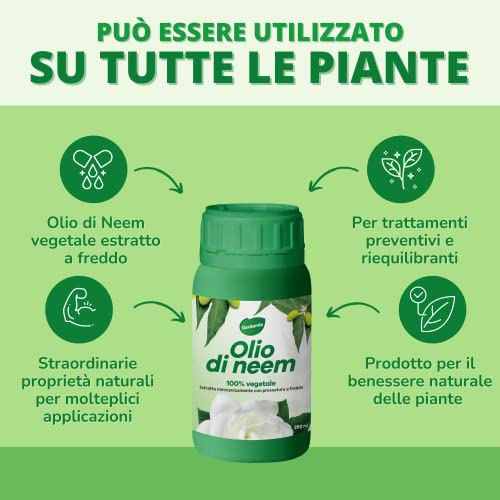 Gardemia Neem Olie voor Planten 100% Plantaardig Natuurlijk Afweermiddel Tegen Bladluizen Cochenille Spintmijt Muggen… - Image 3