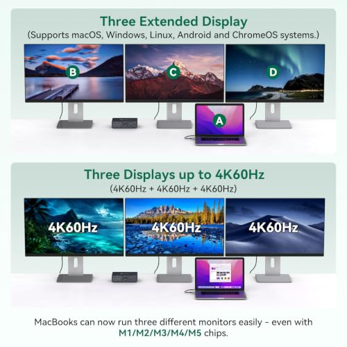 Multi Room professional laptop docking station Bundle product image