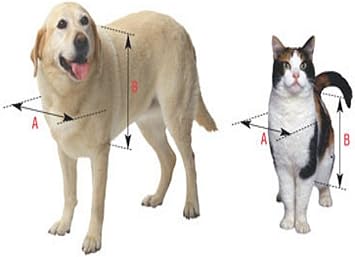 Ideal Pet Products Original Pet Door with Telescoping Frame, Extra-Large, 10.5 x 15 Flap Size