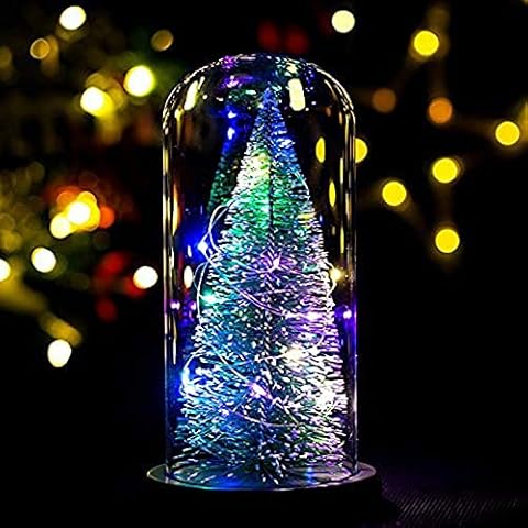 Jeqckloves Roses and Warm LED Lights Container Gift Romantic Dinner Anniversary and Daily Life Ambient Lights (Christmas Lights) Cover
