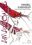 caridina mariae  Zwerggarnelen: Die Gattungen Caridina und Neocaridina