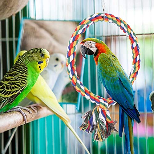 Image of Bird Rope Toy,Round Circle Rings Colorful Cotton Rope Swing Toy Pet Bird Standing Playing Chewing Perches Loop for Parrot Parakeet Bungee Canary Cockatiel Lovebirds