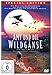 Produktbild Amy und die Wildgänse - Special Edition