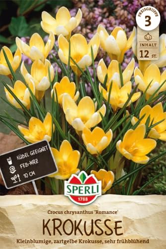 Sperli Wildkrokus Romance 459234 - Krokusse Zwiebeln winterhart mehrjährig, Blumenzwiebeln für...