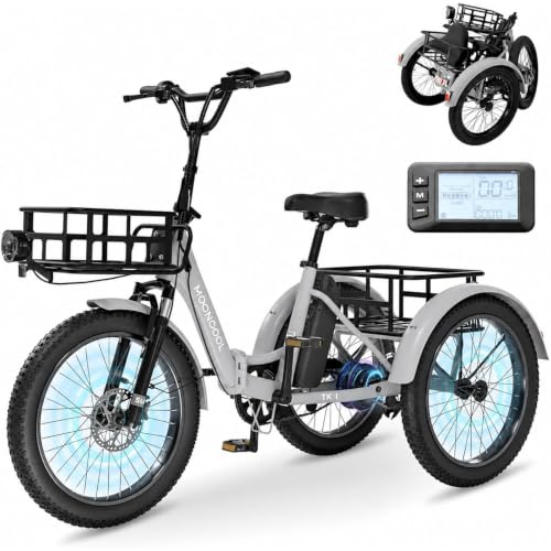 MOONCOOL E Bike Dreirad Klapprad, 20" Elektrofahrräder für Herren Damen, 36V 20AH Akku, 250W Motor 45 Nm, LCD-Display, IP65 Wasserdicht, 3 Fahrmodi, mit Großen Körben & Fußstützen