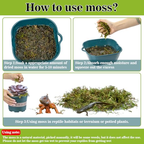 RAINFLOW Sphagnum Moss for Reptiles - 7 Oz Reptile Moss Peat Terrarium Moss Bedding Reptiles Lizard Substrate for Reptile Tank, Snake, Leopard Gecko, Ball Python, Crested Gecko, Turtle, Frog, Hamster