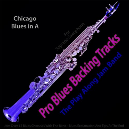 Amazon.co.jp Pro Blues Backing Tracks (Chicago Blues in A) [For