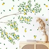 スクウェアショップ ウォールステッカー レモンの木 A4×8枚 mws0735 レモン 木 壁紙 飾りつけ 飾り 苗木 土 花木 果物 檸檬 爽やか おしゃれ グリーン ギフト