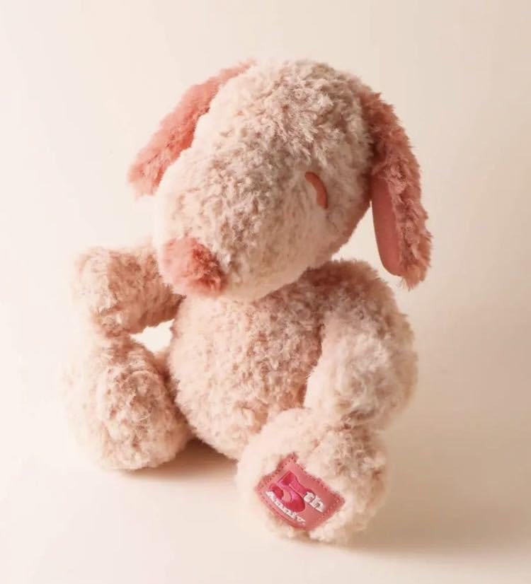 新品未開封★ピーナッツホテル5周年シリアルナンバー入りぬいぐるみ　スヌーピー Amazon.co.jp: ピーナッツホテル 5周年記念 シリアルナンバー入り 限定