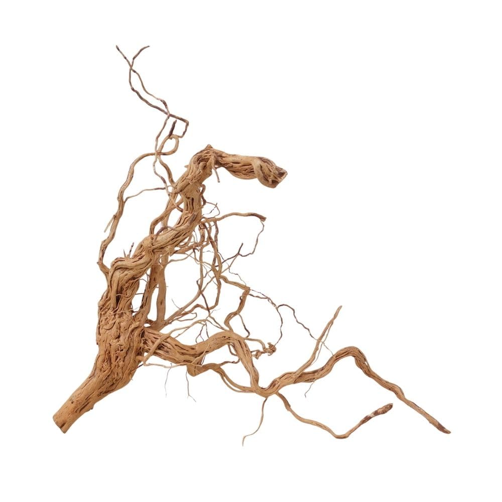 AquaOne Decorazione per acquario, radice di drago, misura XL, in vero legno, n. 2174, decorazione per piante e paesaggio, muschio naturale