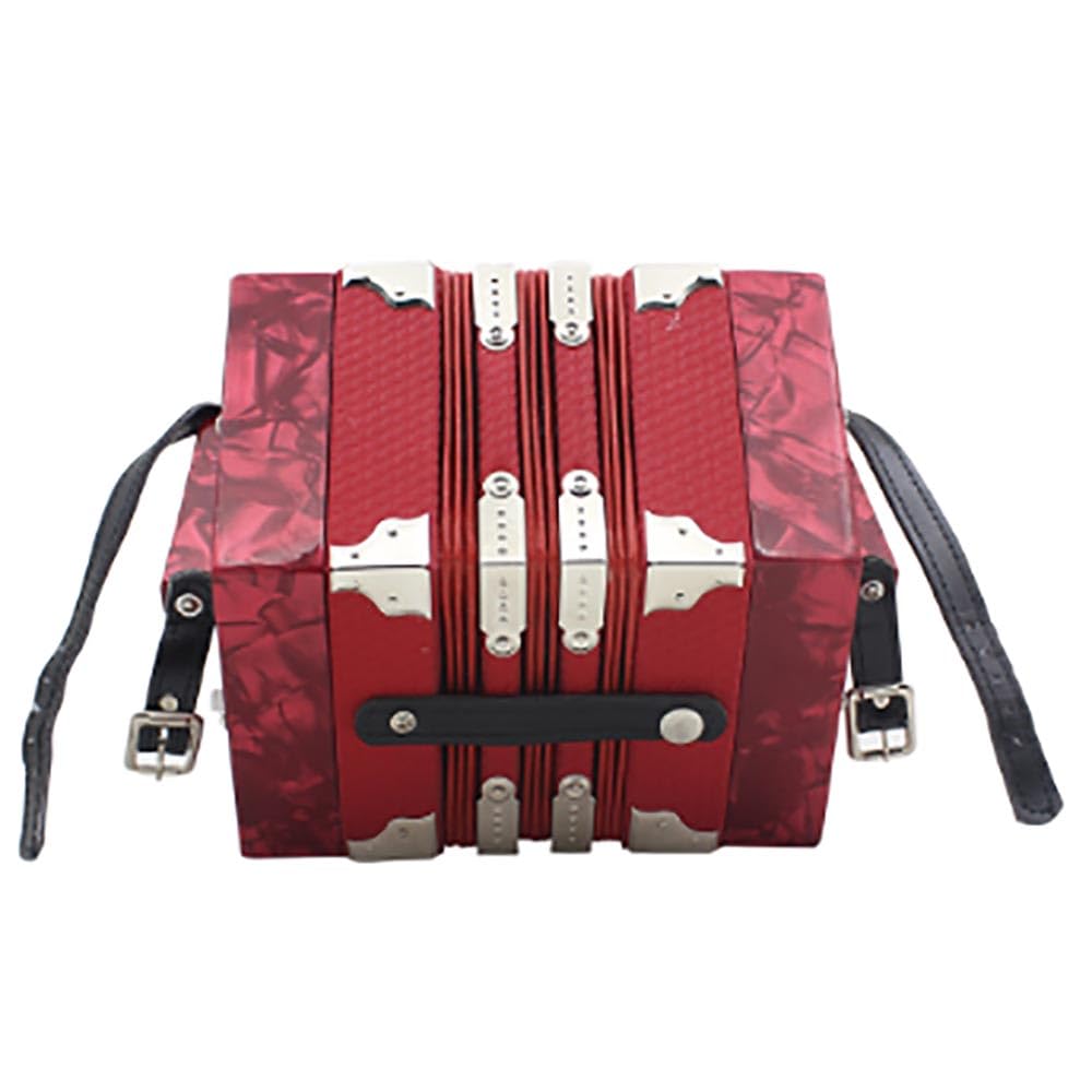 六角形 アコーディオン 20キー 40トーン Amazon | 六角形アコーディオン 20キー 40トーン ストラップとキャリー